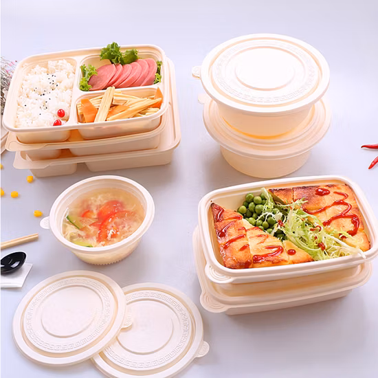 Biodegradable Disposable Food Container Wholesale Cornstarch Surgarcane Bagasse Pulp Clamshell with Lid Restaurant Meal Prep to Go Compostable Lunch Take Away